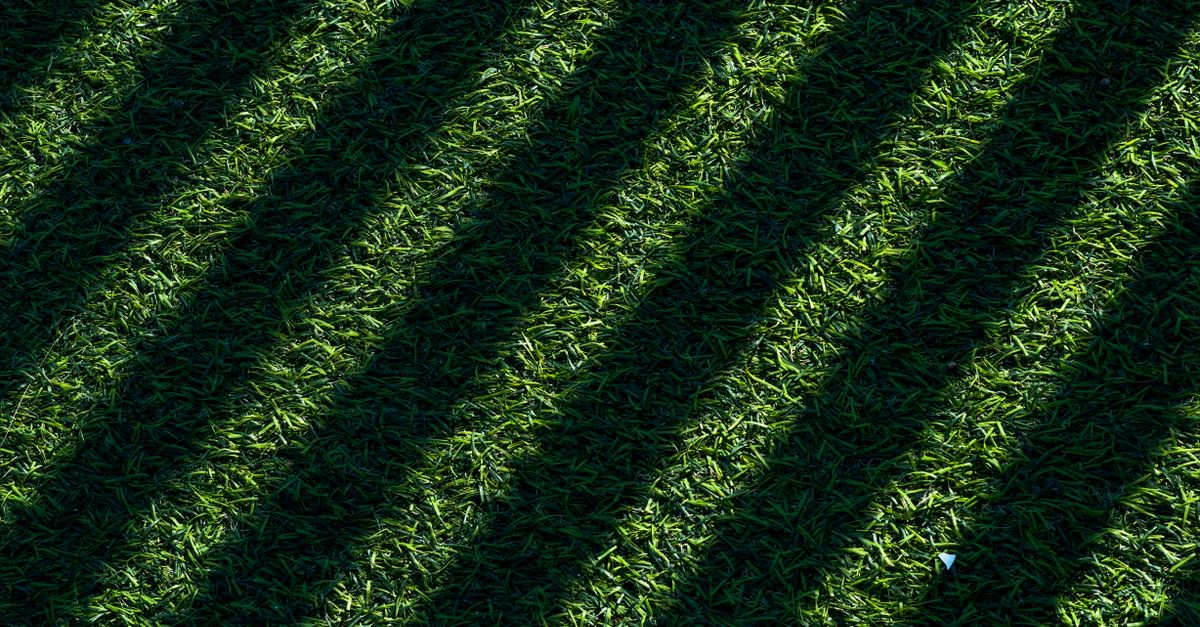 A manicured lawn with clean mowing stripes and trimmed edges